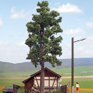 Tree Busch
