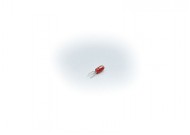 Plug-In Bulbs Red 24V (10)  was L68514