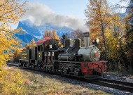 LGB RC & BT RR Shay Steam Locomotive No.7