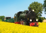 RüBB Steam Loco 53 Mh Ep. VI
