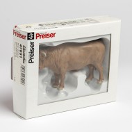 Brown/White Bull Standing