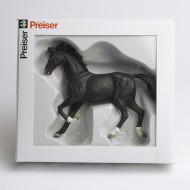 Horse Trotting